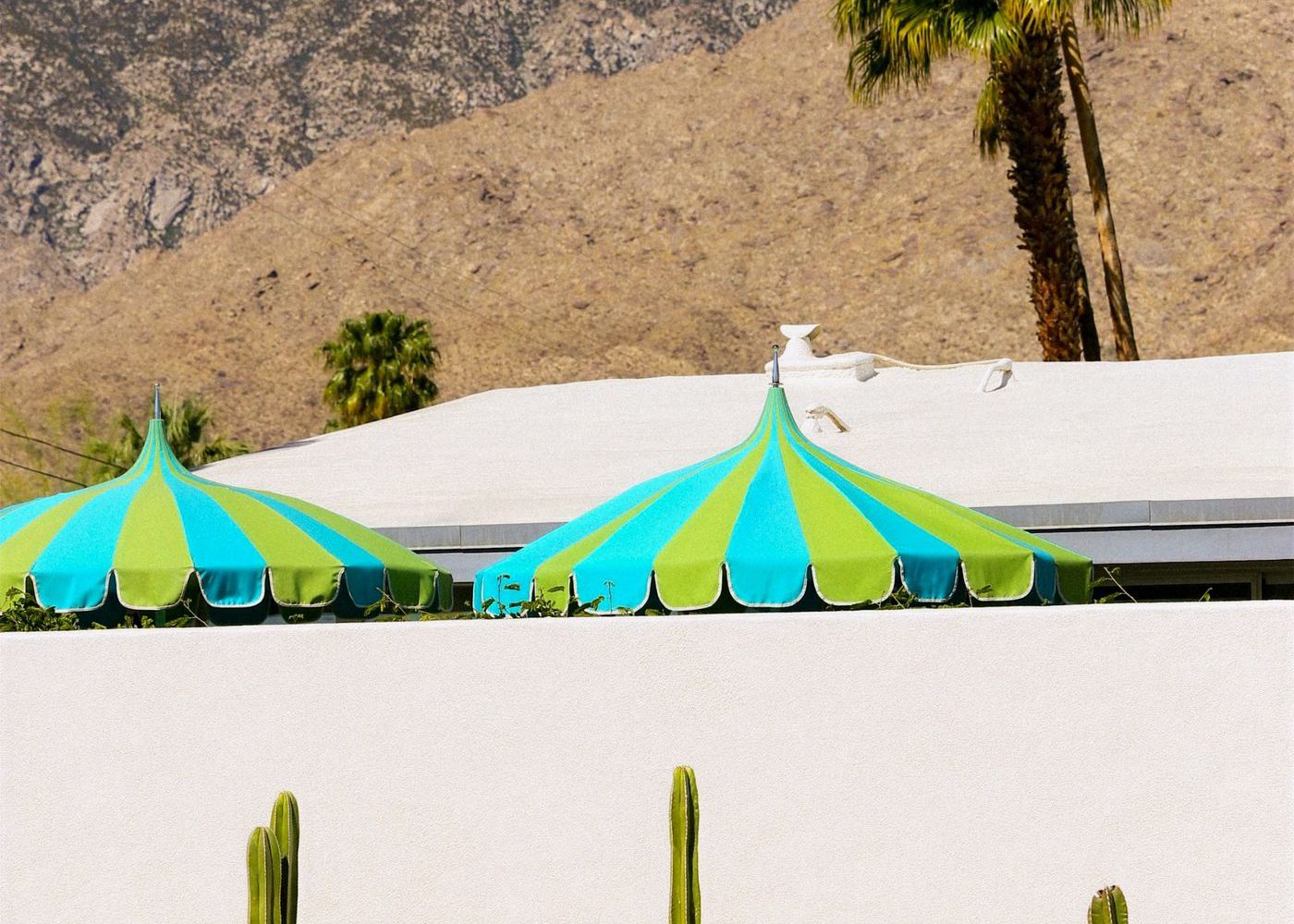 Desert hillside landscape in Palm Springs
